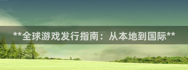 新宝gg登录了还能上吗：**全球游戏发行指南：从本地到国际**